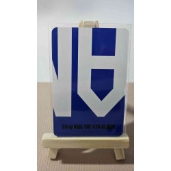 STRAY KIDS - I.N ( Karma SKZOO ver.)