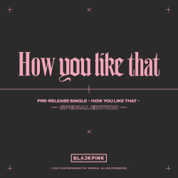 BLACKPINK SPECIAL EDITION [How You Like That]