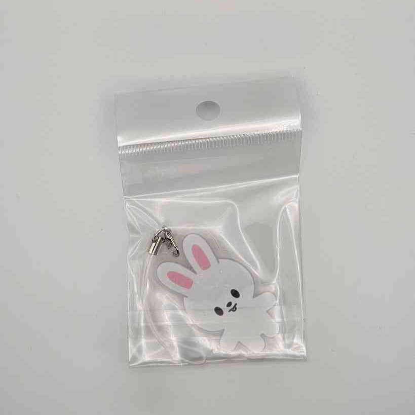 Porte clés acrylique STRAYKIDS