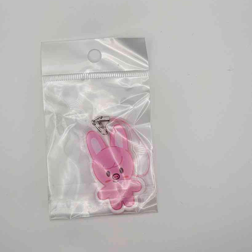 Porte clés acrylique STRAYKIDS